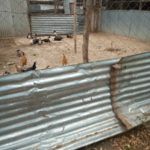 Estado actual del gallinero de las Carmelitas de Kenia